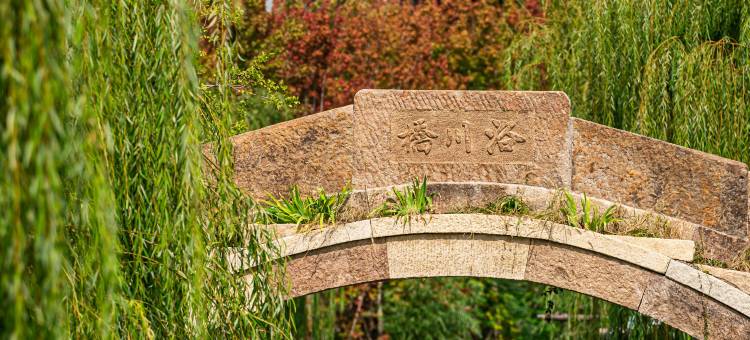 清照泉城蒲苇客栈(明水古城店)图片