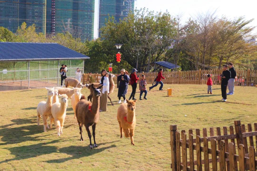 河源巴伐利亚庄园福朋喜来登度假酒店图片