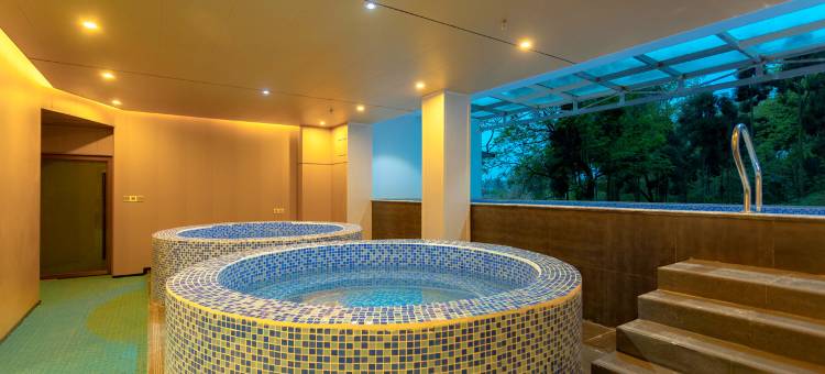 原驿·南桥温泉酒店(都江堰景区南桥店)图片