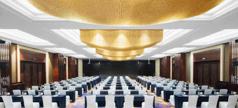 南充天府尚雅酒店图片