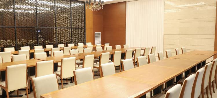 天空花园酒店首尔板桥中心店(Hotel Skypark Central Seoul Pangyo)图片