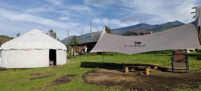 白哈巴一棵树民宿图片