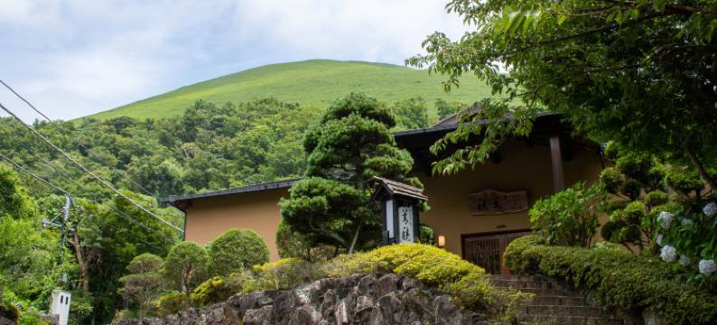 伊豆善积别苑旅馆(不接待12岁及以下的客人入住)(Izu Kougen Hanare Yado Yoshizumi (Kids 12 and under not allowed))图片