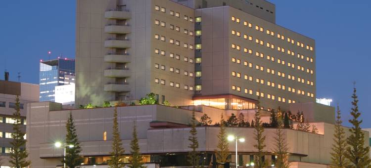 仙台国际酒店(Sendai Kokusai Hotel)图片