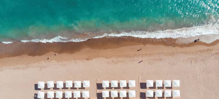 帕洛玛-菲尼克斯赛德酒店(Paloma Finesse Side)图片