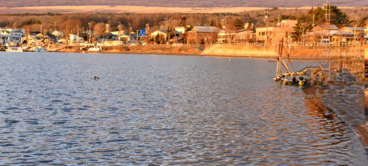 富士山酒店(Hotel Mt. Fuji)图片