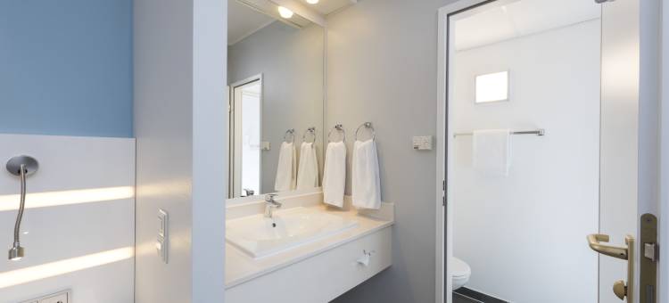 派纳萨尔兹吉贝斯特韦斯特酒店(Best Western Hotel Peine-Salzgitter)图片