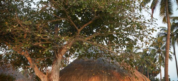 杰特威猎海奢境(Jetwing Surf & Safari, A Luxury Reserve)图片