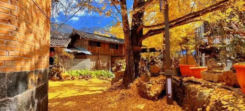 腾冲茶博园温泉酒店图片