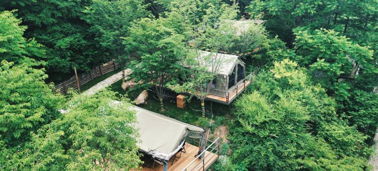 本溪芳草盈温泉度假民宿图片