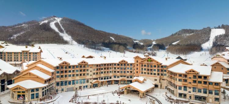 长白山万达锦华套房酒店图片