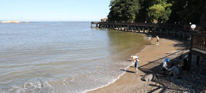 大连青汐温泉酒店图片