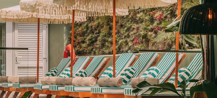 托雷尔·特拉·布拉瓦(Torel Terra Brava)图片