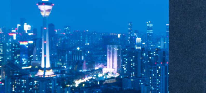 华莲静澜酒店(成都红星桥地铁站店)图片