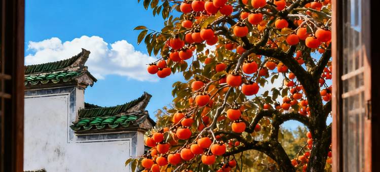 花蹊·见山｜隐奢民宿(篁岭景区店)图片