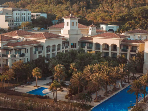 河源春沐源小镇·棕榈树酒店