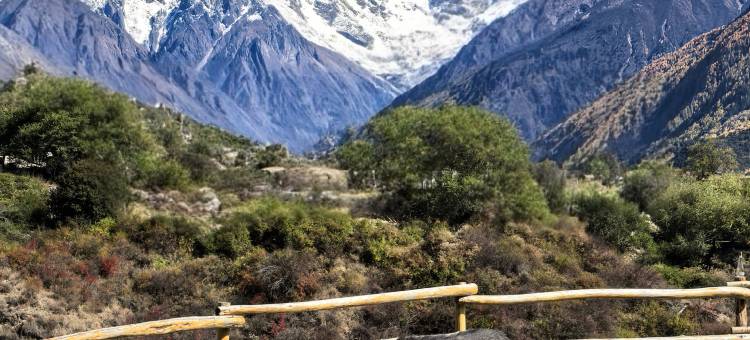 溏心·山墅(索松村店)图片