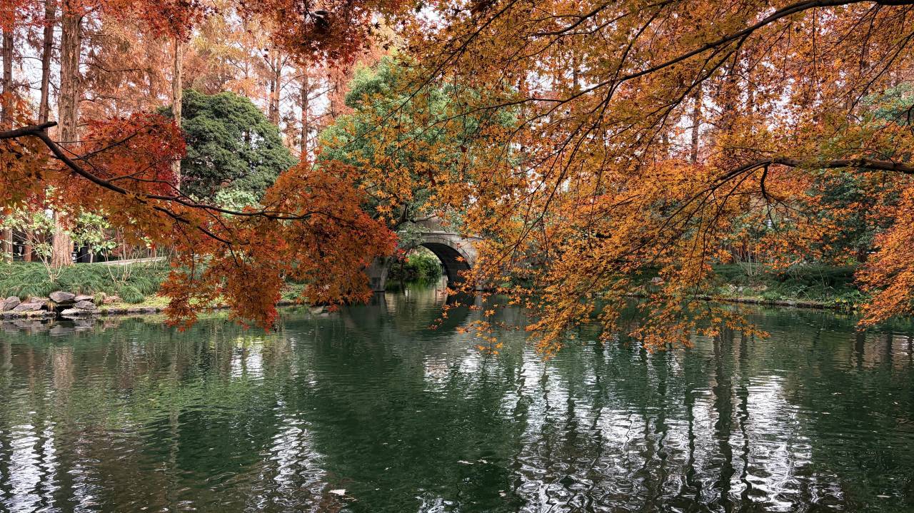 杭州西湖安隅酒店图片