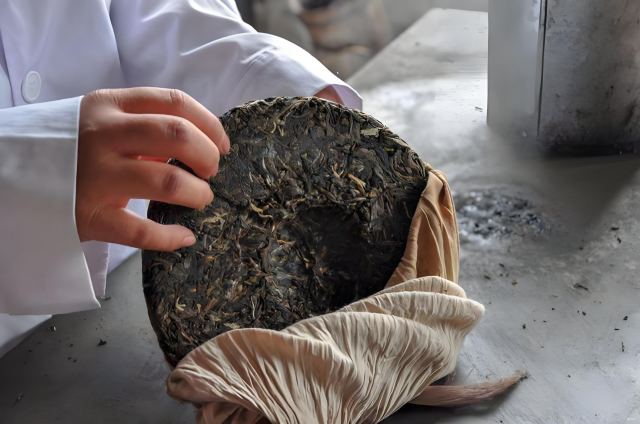 山屿邻·日照金山｜雪山全景野奢汤池度假Villa图片