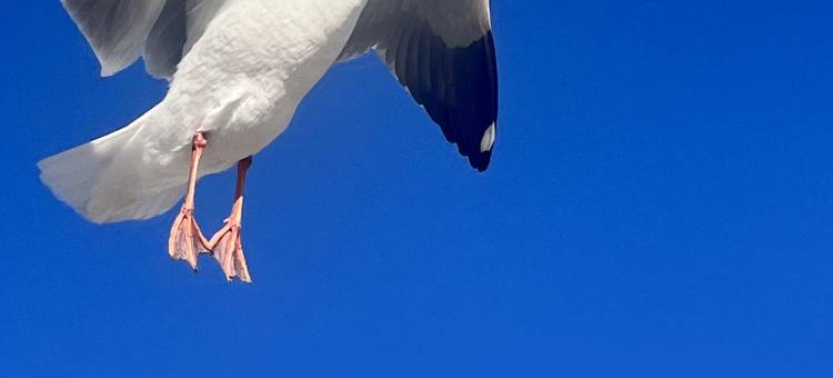 速8精选酒店(拉萨贡嘎国际机场店)图片