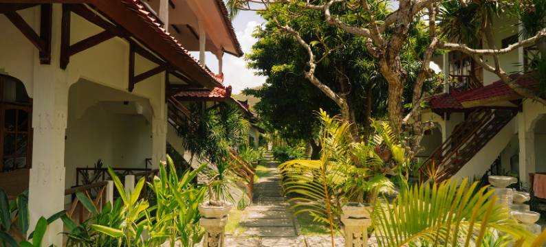 曼达利卡隐秘(The Confidential Mandalika)图片