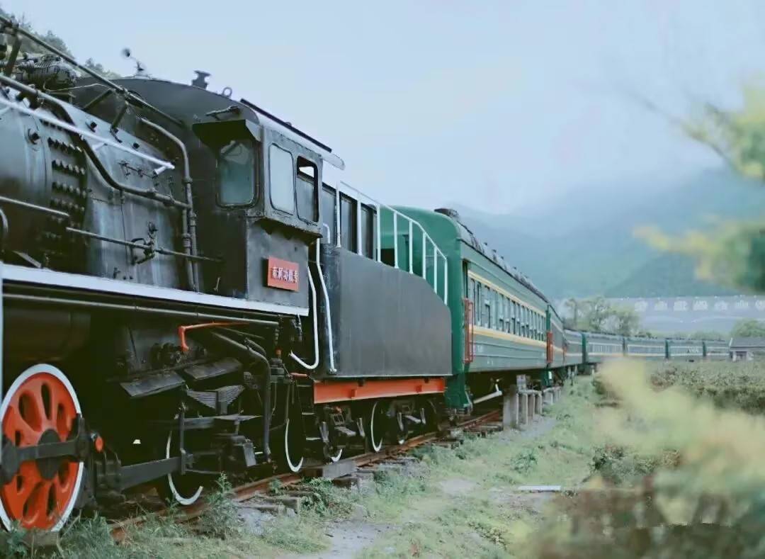 大乐之野(舟山南洞店)图片