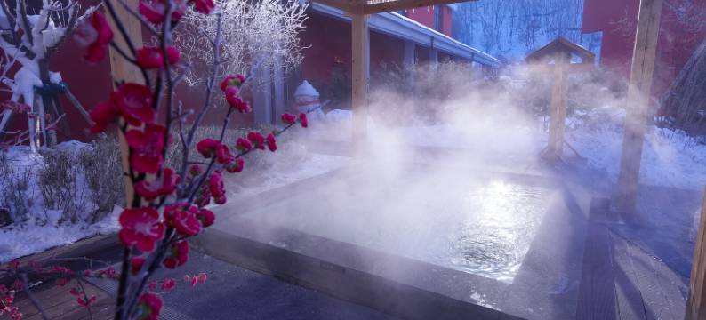 望春山硒悦温泉酒店图片