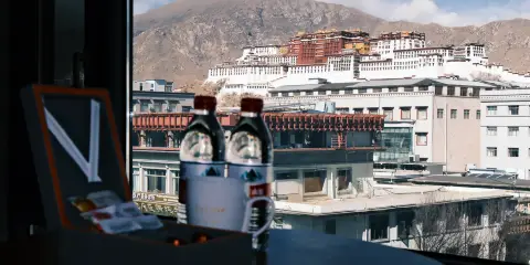 拉薩布達拉宮逸扉酒店