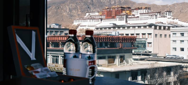 拉萨布达拉宫逸扉酒店图片