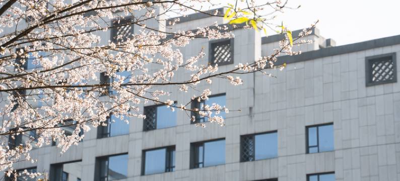 黄山昱城皇冠假日酒店图片