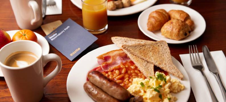 伦敦布鲁姆斯伯里公园蒂斯特尔酒店(Thistle London Bloomsbury Park)图片