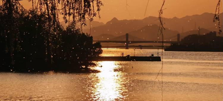 莫云野奢度假酒店图片