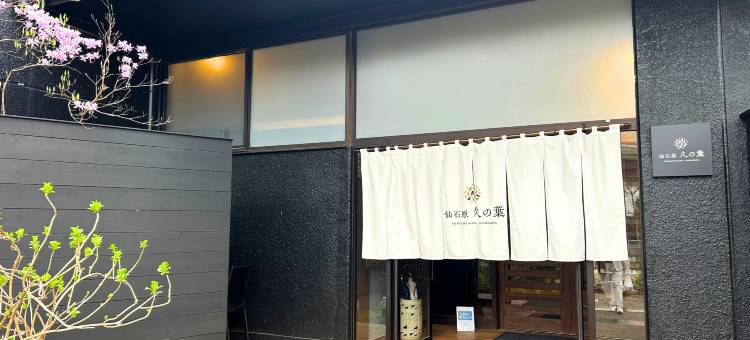 仙石原久之叶(Sengokuhara Hisanoha)图片