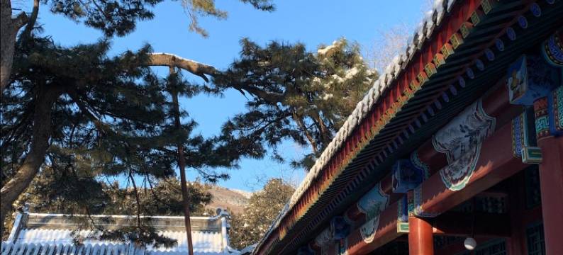 北京卧佛山庄图片