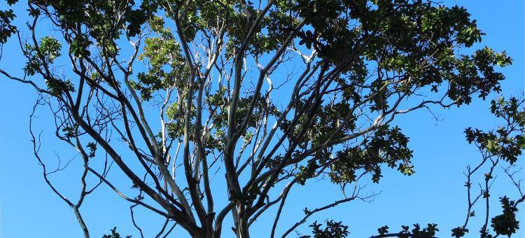 小半径阁调民宿图片