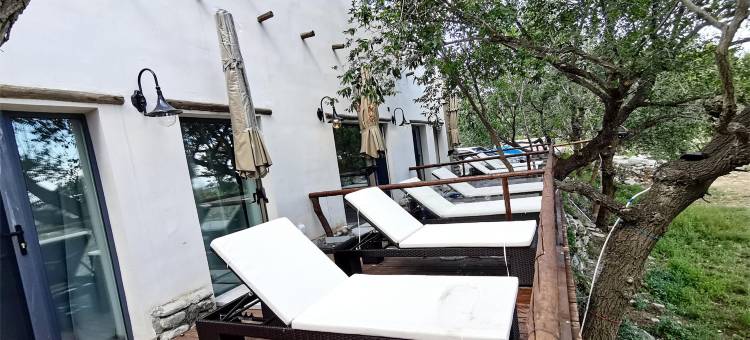 贺兰山岩画古村古树林民宿图片