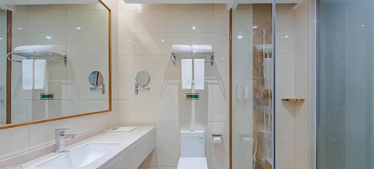 维也纳酒店(龙州店)图片