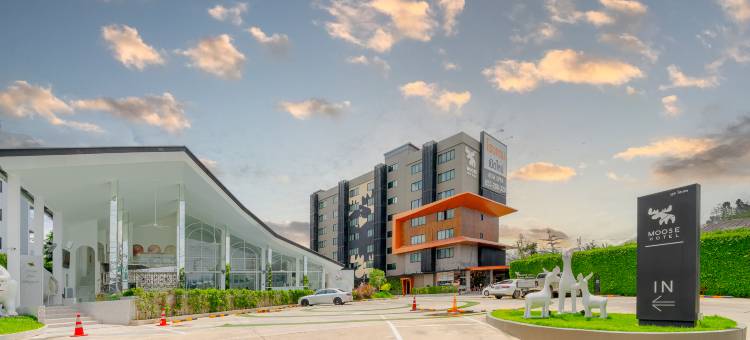 清迈慕思酒店(Moose Hotel Chiangmai)图片