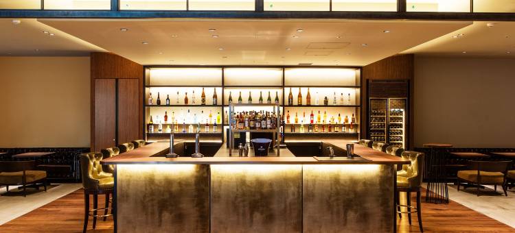 涩谷Stream酒店(SHIBUYA STREAM HOTEL)图片