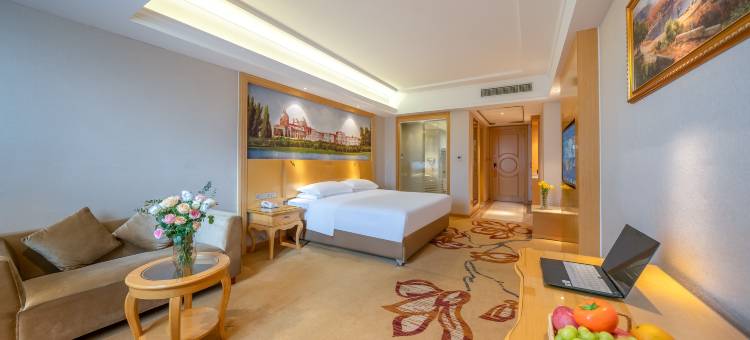 维也纳酒店(宾阳店)图片