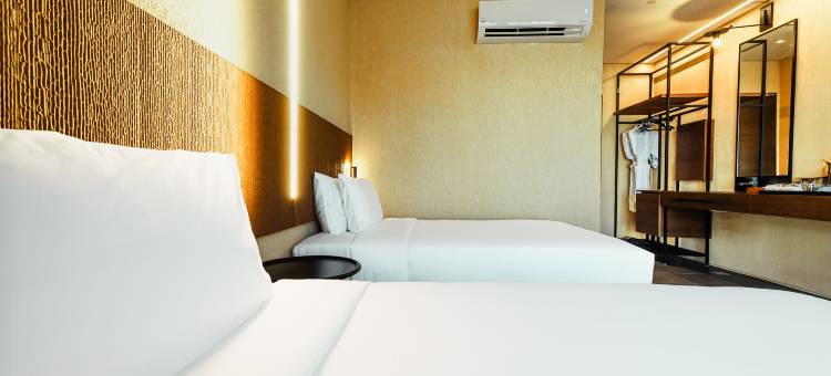 趣狮子 - 蒲甘(The Funny Lion - Puerto Princesa)图片