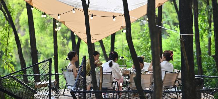离城半日四海湖畔艺术营地图片