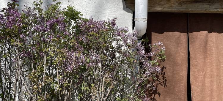 单身大本营图片