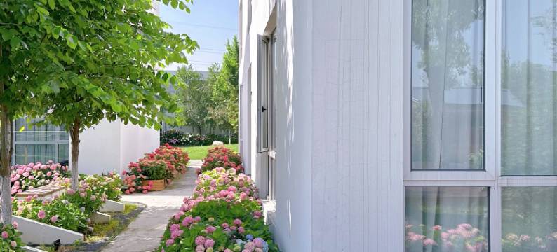 郁园乡野度假村图片