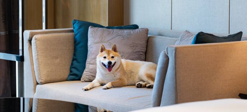 河源汇景希尔顿逸林酒店图片