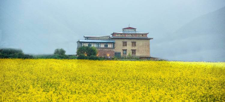 香格里拉农拉央匹生态庄园(纳帕海景区店)图片