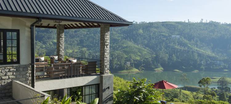 茶花山(Camellia Hills)图片