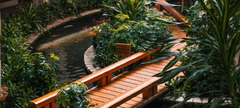 清远丁香花园酒店图片