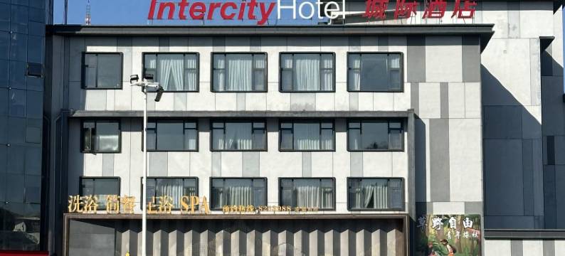 草野自由青年旅社(景德镇人民广场陶阳里景区店)图片