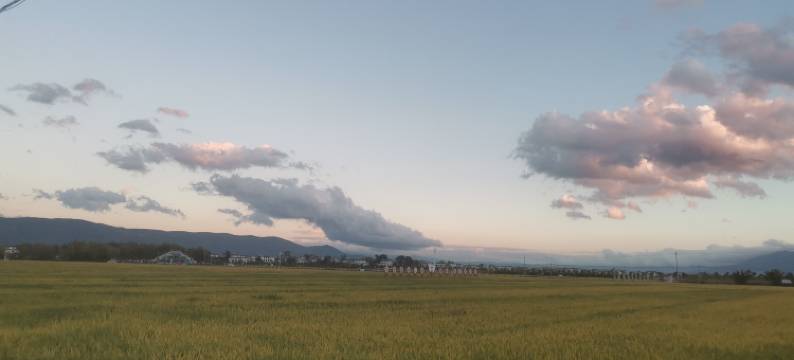 大理溪边小筑民宿(洱海S湾生态廊道店)图片